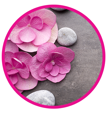 Register To Win – Spa O on the Go